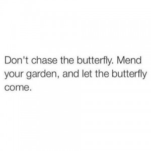 Don't chase the butterfly...